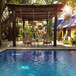 Amar ** Puerto Morelos