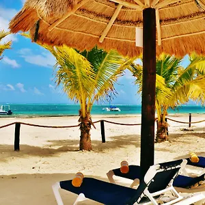 Arrecifes *** Puerto Morelos
